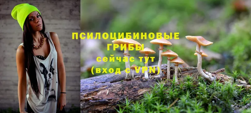 Псилоцибиновые грибы MAGIC MUSHROOMS  Нерюнгри 